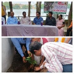 भिण्ड29जुलाई24*रोपे गए पौधों की देखभाल कर उन्हें वृक्ष बनाएं - कलेक्टर*