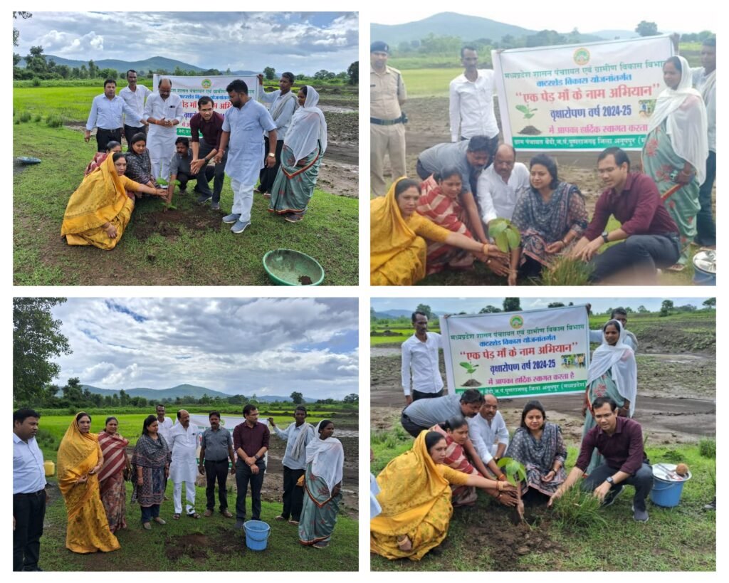 अनूपपुर 16 जुलाई 24*जिले में अब तक ढाई लाख से ज्यादा फलदार एवं छायादार पौधों का हुआ रोपण