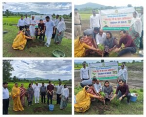 अनूपपुर 16 जुलाई 24*जिले में अब तक ढाई लाख से ज्यादा फलदार एवं छायादार पौधों का हुआ रोपण