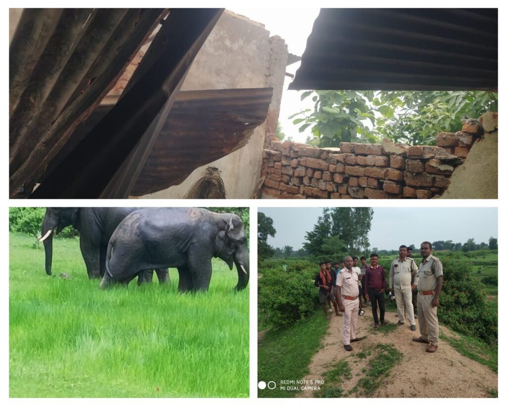 अनूपपुर 19 जुलाई 24*हाथियों के जिले से रवाना हो जाने पर,ग्रामीणों ,जिला प्रशासन एवं वन-विभाग ने ली राहत की सांस।