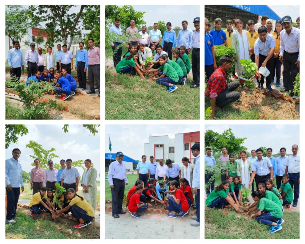 कानपूर देहात 20 जुलाई 24*वृक्षारोपण कार्यक्रम पी एम श्री केंद्रीय विद्यालय माती, अकबरपुर