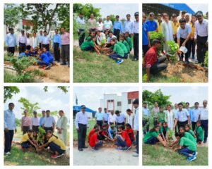 कानपूर देहात 20 जुलाई 24*वृक्षारोपण कार्यक्रम पी एम श्री केंद्रीय विद्यालय माती, अकबरपुर