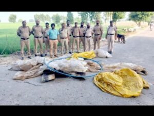 पंजाब 13 अगस्त 2024* एक्साईज विभाग के इंस्पैक्टर निर्मल सिंह की टीम ने 25000 लीटर लाहन को नष्ट किया