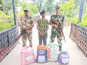 कोची 28 अगस्त 24*बॉर्डर बीएसएफ ने सीमा के रास्ते बांग्लादेश में तस्करी करते समय एक युवक को 40 किलो गांजा और 602 बोतल कफ सिरप के साथ पकड़ा।