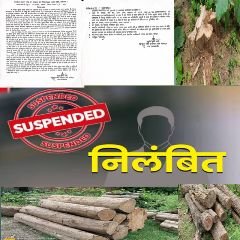 गोण्डा03अगस्त24*रिपो टिकरी रेजर निलंबित वन प्रभाग में हडकंप,