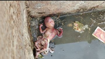 मथुरा03अगस्त24*नवजात शिशु को नाले में फेंका