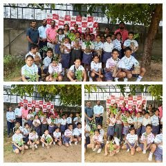 जयपुर7अगस्त2024*अमृत पर्यावरण महोत्सव-2024