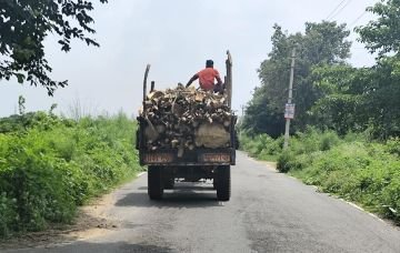 कानपुर नगर23अगस्त24*निरंकुश लकड़ी माफियाओं के आगे अंजान साबित हो रहा वन विभाग।