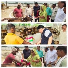 कौशाम्बी26अगस्त24*गौवंशों को गुड़ चना,फूल माला पहनाकर चेयर मैन ने मनाया कृष्ण जन्माष्टमी* कौशाम्बी26अगस्त24*गौवंशों को गुड़ चना,फूल माला पहनाकर चेयर मैन ने मनाया कृष्ण जन्माष्टमी*