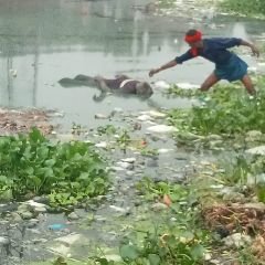 कौशाम्बी26अगस्त24*तालाब में उतराता हुआ मिला 26 वर्षीय युवक का शव* कौशाम्बी26अगस्त24*तालाब में उतराता हुआ मिला 26 वर्षीय युवक का शव*