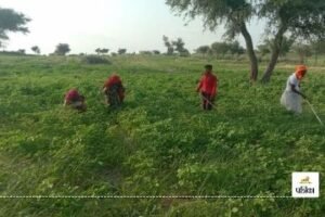 जयपुर26अगस्त24*27 अगस्त से पहले बैंक खाते को जन आधार से लिंक करवाना अनिवार्य,