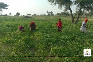 जयपुर26अगस्त24*27 अगस्त से पहले बैंक खाते को जन आधार से लिंक करवाना अनिवार्य, जयपुर26अगस्त24*27 अगस्त से पहले बैंक खाते को जन आधार से लिंक करवाना अनिवार्य,