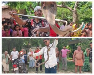 वाराणसी 09 अगस्त 24*पलक झपकते ही साँपो को पकड़ने वाला रतन अब रतन कोबरा के नाम से जाना जाने लगा --