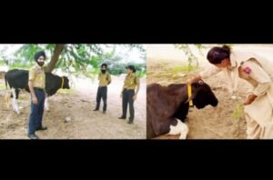 पंजाब 04 सितंबर 2024* सड़क सुरक्षा टीम ने पशुओं के गले में रेडियम बेल्ट पहनाई, हादसों से होगा बचाव पंजाब 04 सितंबर 2024* सड़क सुरक्षा टीम ने पशुओं के गले में रेडियम बेल्ट पहनाई, हादसों से होगा बचाव