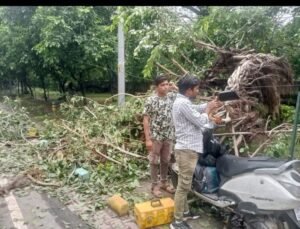 मथुरा 08 सितम्बर 2024* तेज वर्षा के कारण रोड़ के किनारे टूट कर गिरा पेड़। बीएसएनएल की केवल टूटते ही जोड़ने पहुंचे कर्मी