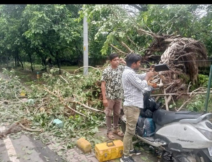 मथुरा 08 सितम्बर 2024* तेज वर्षा के कारण रोड़ के किनारे टूट कर गिरा पेड़। बीएसएनएल की केवल टूटते ही जोड़ने पहुंचे कर्मी