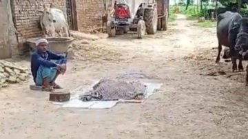 बहराइच05सितम्बर24*बेटी के अंग काटे- फिर सड़क पर लगाया अंगों का ढेर, पिता बना हैवान!! बहराइच05सितम्बर24*बेटी के अंग काटे- फिर सड़क पर लगाया अंगों का ढेर, पिता बना हैवान!!