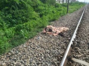 उन्नाव07सितम्बर24*ट्रेन की चपेट में आकर 25 वर्षीय युवती की मौत