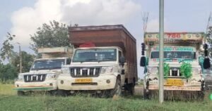 अनूपपुर13सितम्बर24*पुलिस चौकी फुनगा द्वारा 03 पिक अप वाहन में क्रूरता से लदे मवेशी पकड़े गए