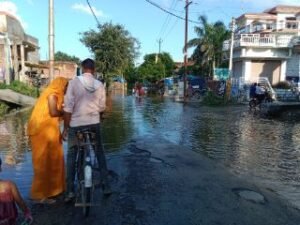 औरैया21सितम्बर24*कस्बे के गन्दे नाले मे पानी बढ़ने से फसले व मकान डूबे*