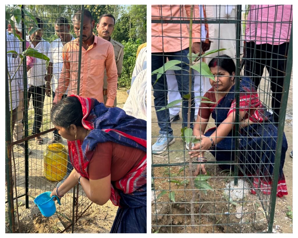 गाजीपुर 20 सितम्बर 24*राज्यसभा सांसद डा. संगीता बलवंत ने वृक्षारोपण किया