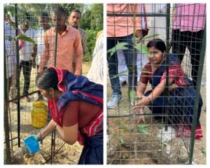 गाजीपुर 20 सितम्बर 24*राज्यसभा सांसद डा. संगीता बलवंत ने वृक्षारोपण किया