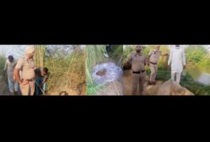 पंजाब 13 अक्टूबर 2024* एक्साईज व पुलिस विभाग ने15 हजार लीटर लाहन को बरामद कर नष्ट किया