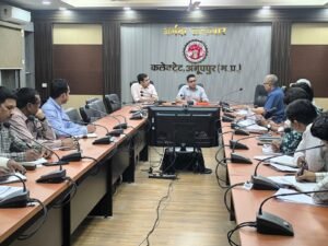 अनूपपुर 15 अक्टूबर 24*विद्युत से जुड़ी समस्याओं का संवेदनशीलता से समाधान करें-कलेक्टर हर्षल पंचोली