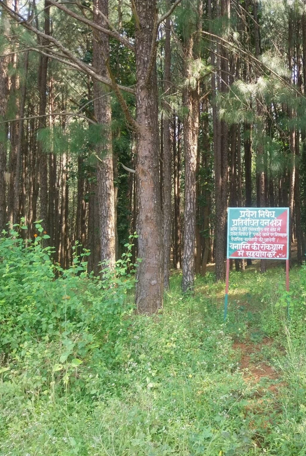 अनूपपुर 26 अक्टूबर 24*वन क्षेत्र में शराब पी रहे युवकों ने वनरक्षक से की अभद्रता,पुलिस ने किया अपराध दर्ज