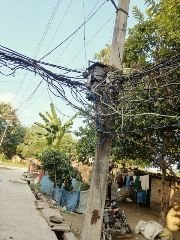 गोरखपुर10अक्टूबर24*विद्युत उपकेंद्र भटहट से संचालित बैलों फीडर का ग्राम बैलो का हरिजन बस्ती का नजारा है ।