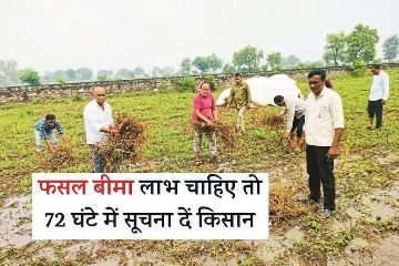 जयपुर14अक्टूबर24*बांसवाड़ा अतिवृष्टि ने जनजाति किसानों को रुलाया, सोयाबीन की 90 फीसद फसल बर्बाद*