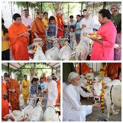 मथुरा 21 अक्टूबर 2024*वृन्दावन*वात्सल्य ग्राम में पुंगनूर गौशाला का उद्घाटन पूजन एवं आरती कर किया।
