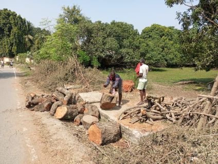 भागलपुर26अक्टूबर24*मानवाधीकार कार्यकर्ता ने लिया संज्ञान, थाने मे दिया FIR हेतु आवेदन*