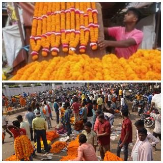 वाराणसी01नवम्बर24*वाराणसी मे , तीन दिन में दस करोड़ की बिके माला-फूल।