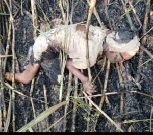 लखीमपुर खीरी01नवम्बर24*दीपावली पर्व पर खेत जगाने गए ७५ वर्षीय दलित मेवा लाल गन्ने के खेत में झुलसा लखीमपुर खीरी01नवम्बर24*दीपावली पर्व पर खेत जगाने गए ७५ वर्षीय दलित मेवा लाल गन्ने के खेत में झुलसा