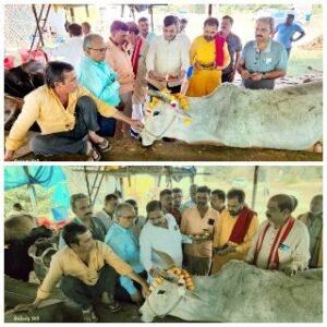 कानपुर नगर02नवम्बर24*गौआश्रय स्थल भिडुरी ,प्रधानपुर मे गोवर्धन पूजा पूरे बिधिबिधान से आचार्य सतीश मिश्र के मंत्रोच्चार के साथ मनाई गयी।