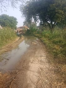 कौशाम्बी04नवम्बर24*धनपरा गांव की सड़क तालाब में तब्दील* कौशाम्बी04नवम्बर24*धनपरा गांव की सड़क तालाब में तब्दील*