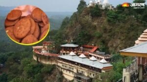 हमीरपुर19नवम्बर24*हिमाचल के प्रसिद्ध बाबा बालकनाथ मंदिर में चढ़ने वाले 'रोट' प्रसाद के सैंपल फेल