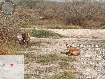 कानपुर नगर28नवम्बर24*देखिए ये बोलती तस्वीर ककवन विकास क्षेत्र के औरोंताहरपुर गांव सभा स्थित गौशाला की