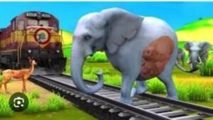 कोटद्वार28नवम्बर24*कोटद्वार ब्रांच लाइन पर ट्रेन से टकराया हाथी, बड़ा हादसा टला*