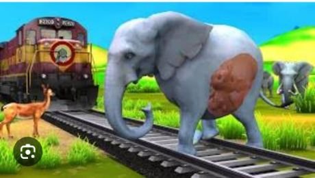 कोटद्वार28नवम्बर24*कोटद्वार ब्रांच लाइन पर ट्रेन से टकराया हाथी, बड़ा हादसा टला*