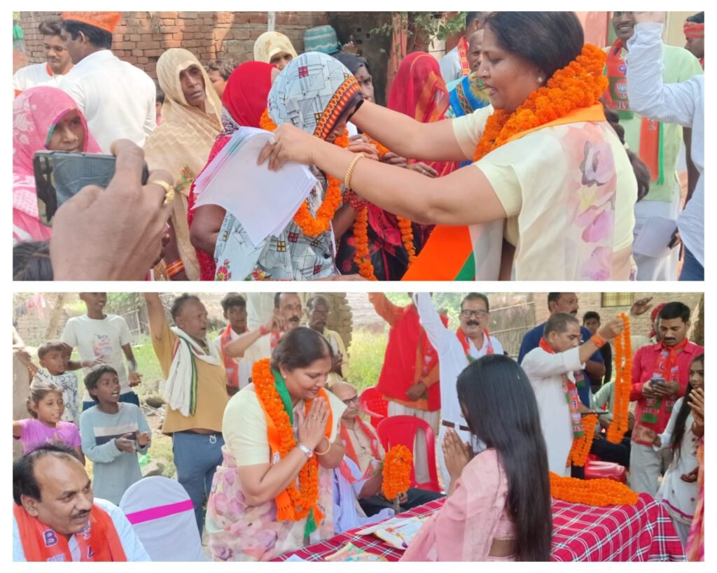 मिर्जापुर:1 नवंबर 24 *विधान सभा प्रत्याशी सुष्मिता मौर्य ने आज पहाड़ी मंडल में किया जनसंपर्क*