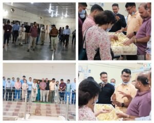 अनूपपुर 10 नवंबर 24*10 सदस्यीय प्रशिक्षु आईएएस दल अनूपपुर जिले के भ्रमण पर*