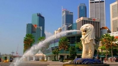 भोपाल1दिसम्बर24*MP बोर्ड एग्जाम में बेहतर परिणाम लाने वाले सरकारी स्कूलों के प्राचार्य जाएंगे सिंगापुर*