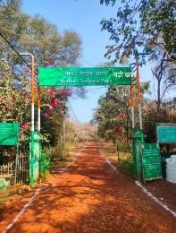 शिवपुरी2दिसम्बर24*माधव नेशनल पार्क टाइगर रिजर्व घोषित, प्रदेश का आठवाँ टाइगर रिजर्व होगा।*