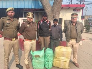 मथुरा 20 दिसंबर 2024*अन्तर्राजीय गांजा तस्करी करने वाले दो गांजा तस्कर गिरफ्तार।