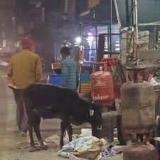 लखनऊ23दिसम्बर24*मोहनलालगंज कस्बे में बड़े पैमाने पर हो रहा है अवैध रसोई गैस का काला कारोबार*