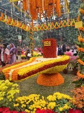 वाराणसी25दिसम्बर24*तीन दिवसीय मालवीय पुष्प प्रर्दशनी का शुभारंभ