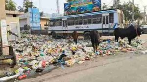 पंजाब २४ दिसम्मबर २०२४*मलोट चौक पर थाने के नजदीक लगा कचरे का ढेर, मंडरा रहे आवारा पशु बन रहे हादसे का कारण