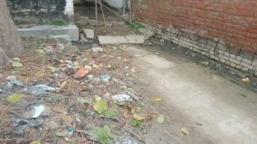 कौशांबी02जनवरी25*अनुसूचित मोहल्ले में एक साल से कोई भी सफाई कर्मचारी नहीं आया सफाई करने* कौशांबी02जनवरी25*अनुसूचित मोहल्ले में एक साल से कोई भी सफाई कर्मचारी नहीं आया सफाई करने*